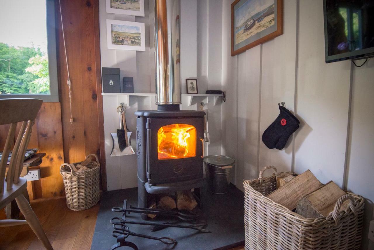 Little Kestrel Cabin Pennal Extérieur photo